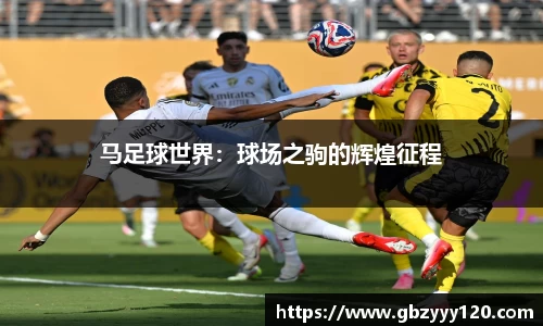 马足球世界：球场之驹的辉煌征程