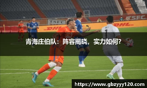 青海庄伯队：阵容揭晓，实力如何？